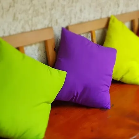 Pincedombi Дом отдыха *