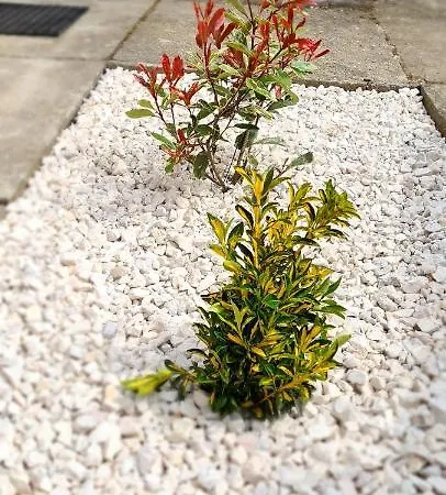 Дом отдыха Pincedombi