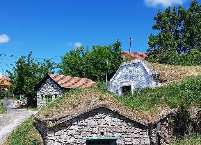 Ferienhaus Pincedombi Cserepfalu